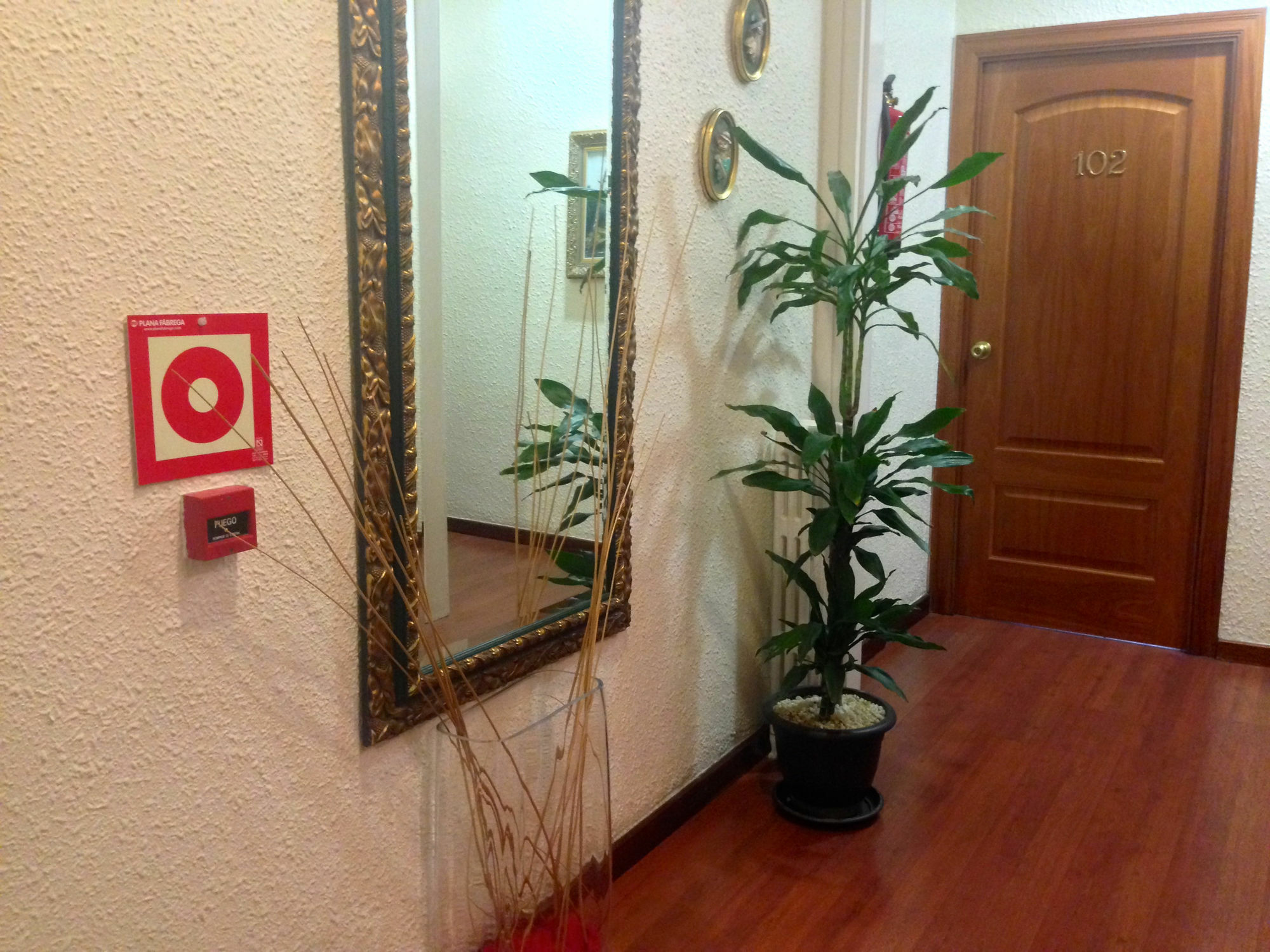 Hotel Pelayo Barselona Dış mekan fotoğraf